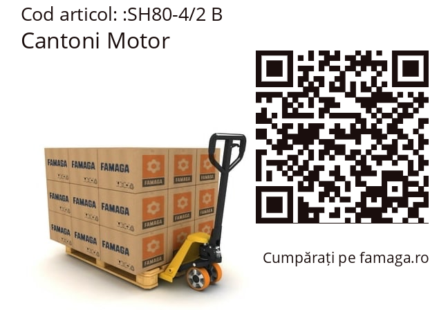   Cantoni Motor SH80-4/2 B