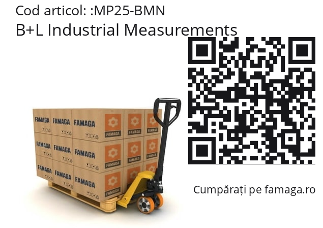   B+L Industrial Measurements MP25-BMN