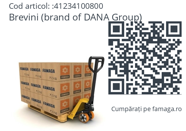   Brevini (brand of DANA Group) 41234100800
