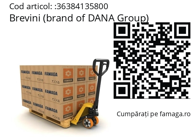   Brevini (brand of DANA Group) 36384135800