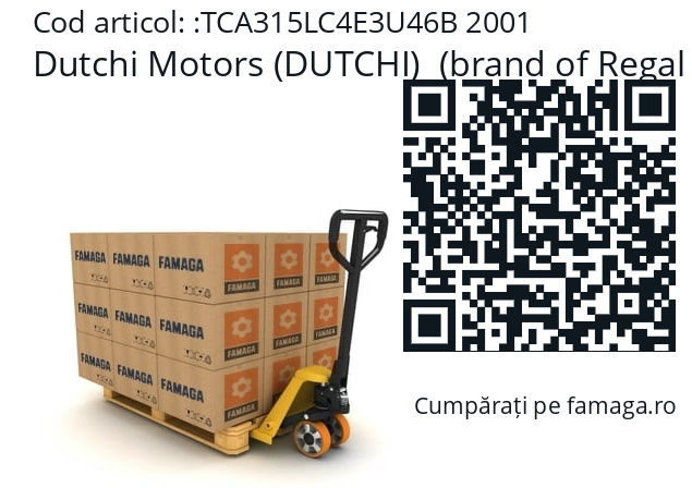  TCA315LC4E3U46 Dutchi Motors (DUTCHI)  (brand of Regal Beloit) TCA315LC4E3U46B 2001