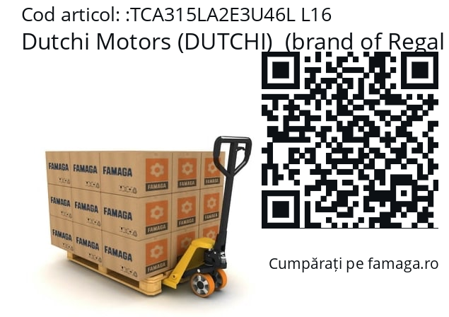   Dutchi Motors (DUTCHI)  (brand of Regal Beloit) TCA315LA2E3U46L L16