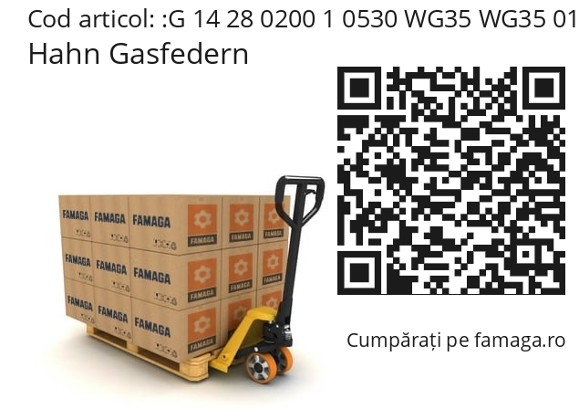   Hahn Gasfedern G 14 28 0200 1 0530 WG35 WG35 01000N