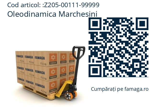   Oleodinamica Marchesini Z205-00111-99999